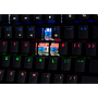 Tastatura Rampage Gaming Raptor RGB